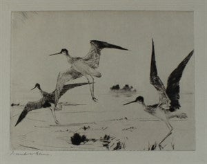 Image description is not available for DU1947.61